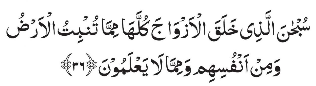 Surah Yasin Ayat 36 Wazifa